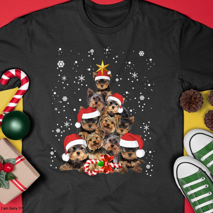 05.jpg