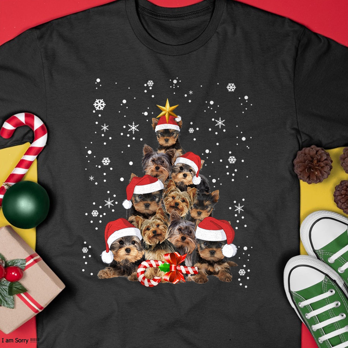05.jpg