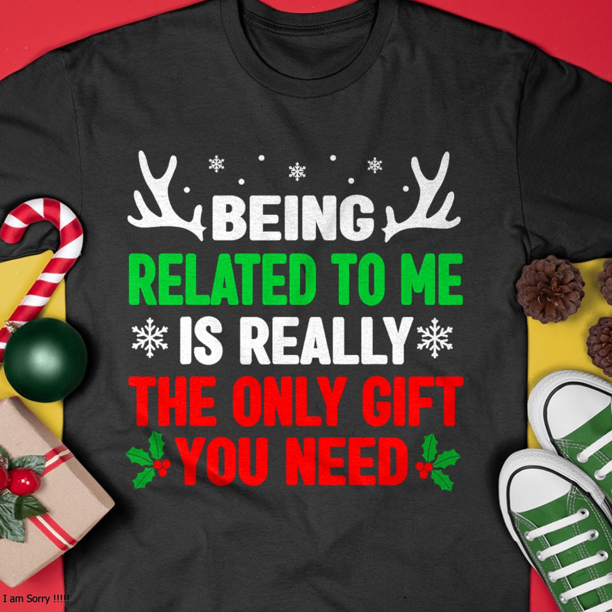 05.jpg