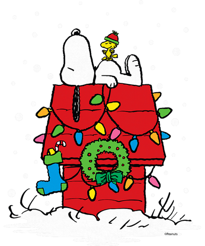 Peanuts Holiday Snoopy and Woodstock Stocking T-Shirt.png