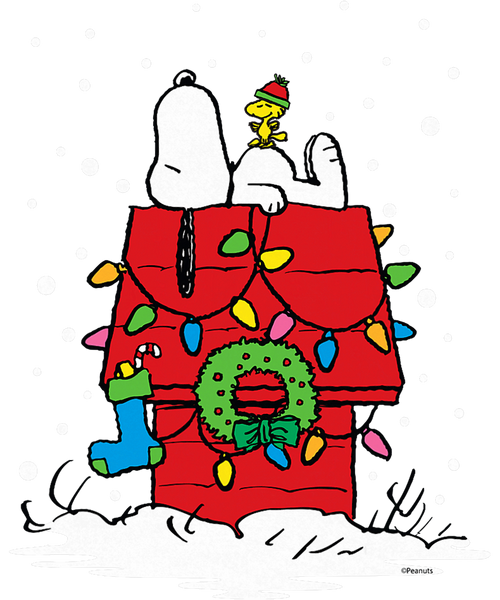 Peanuts Holiday Snoopy and Woodstock Stocking T-Shirt.png