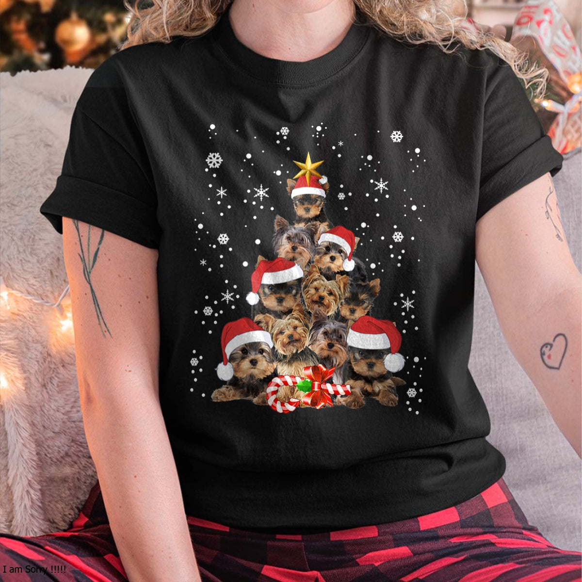 a1.jpg