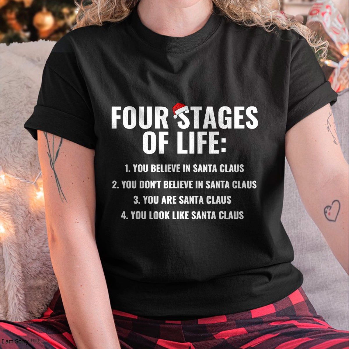 a1.jpg