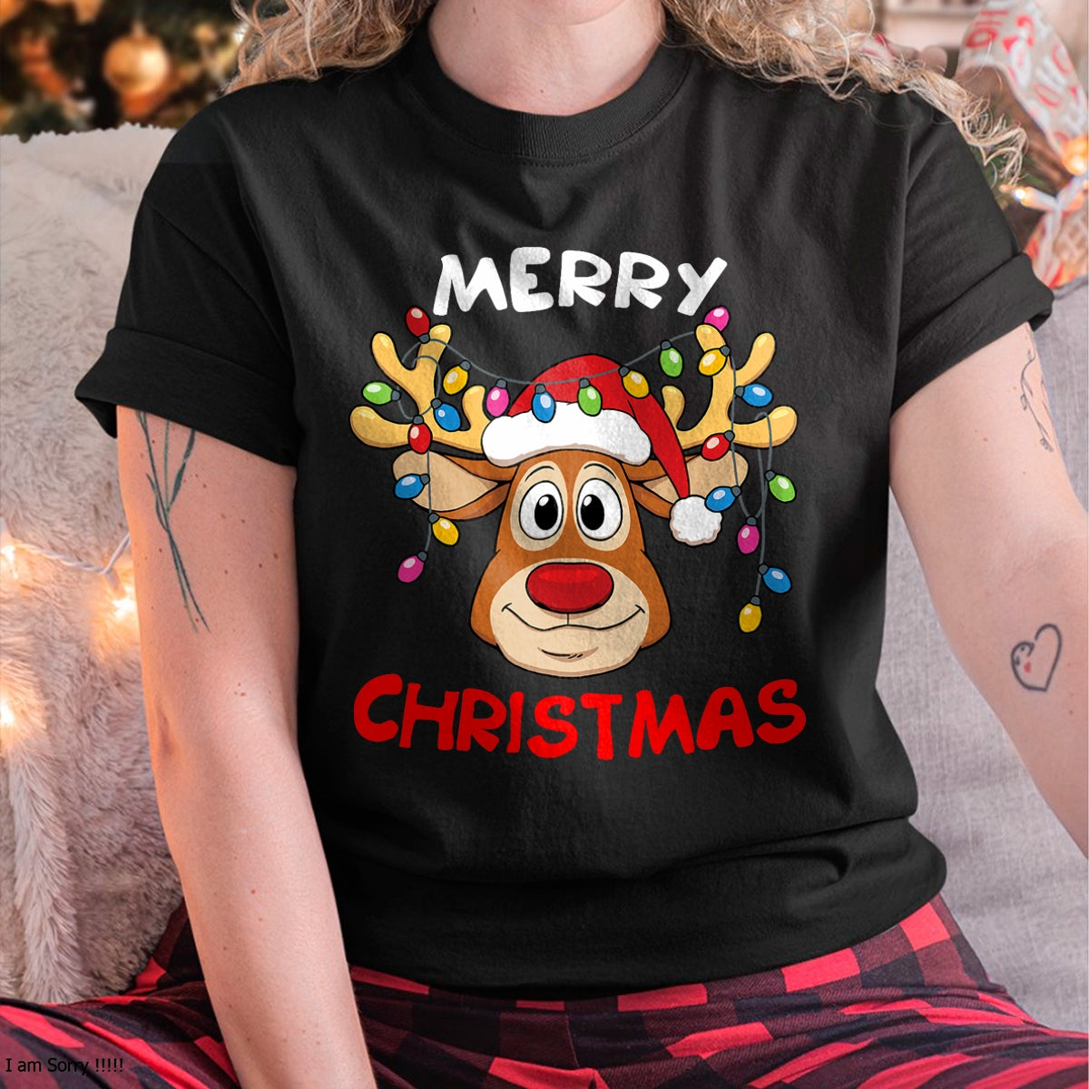a1.jpg