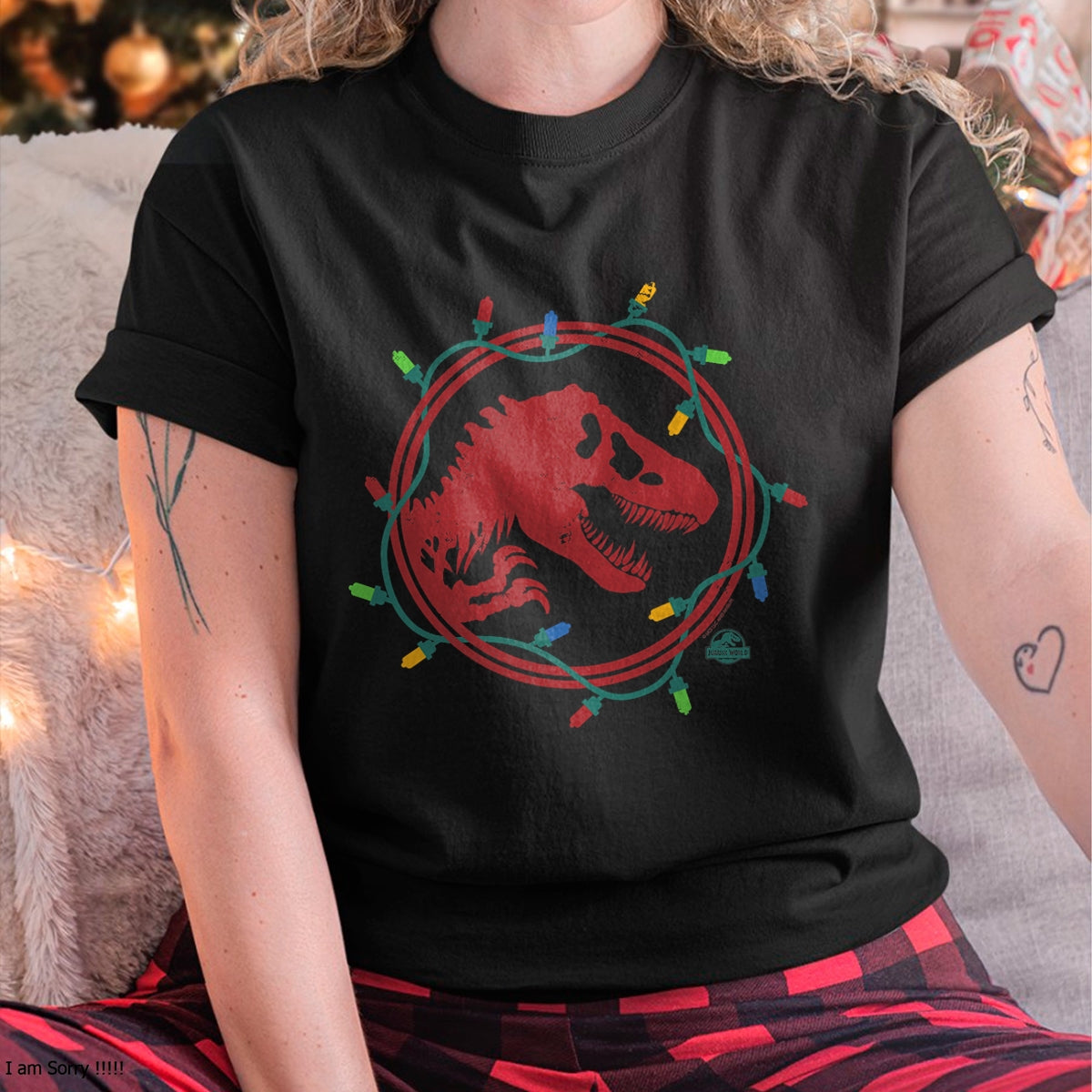 a1.jpg